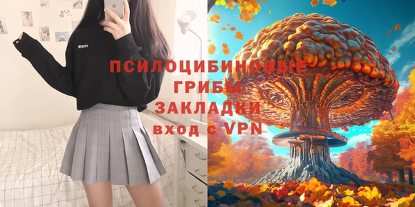 стафф Алексеевка