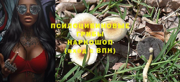 стафф Алзамай